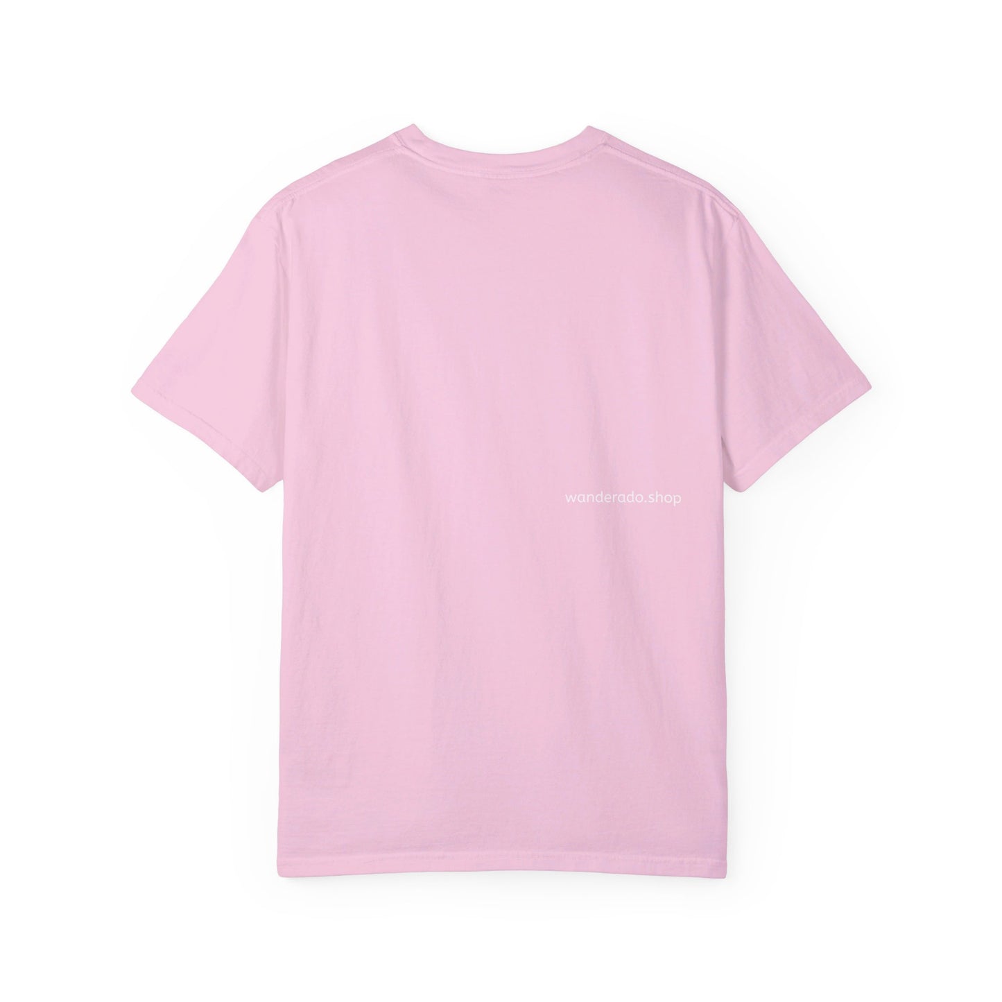 π "The American Dream is for All of Us" T-Shirt π