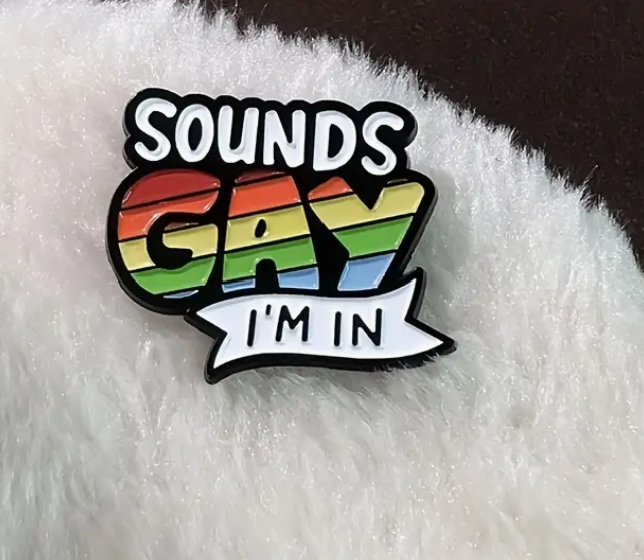 Sounds Gay I'm In - Pin